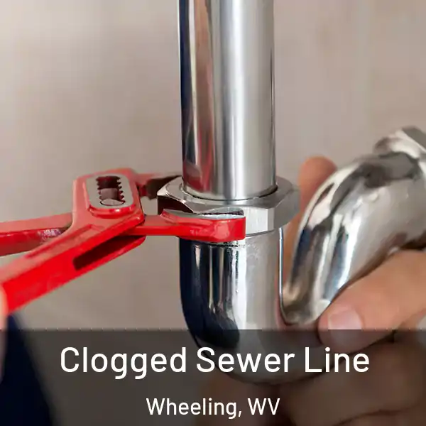  Clogged Sewer Line Wheeling, WV